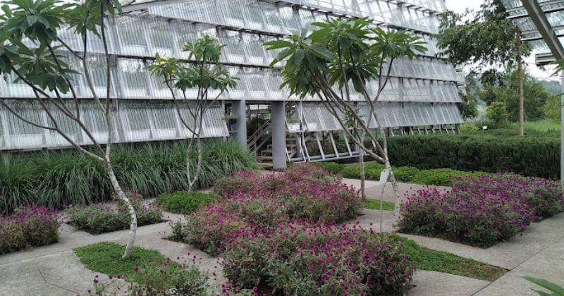 maps.google.com/Andi Nur Yuwono